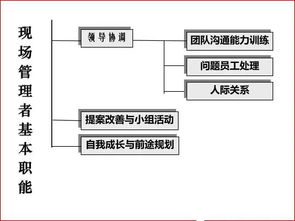 優(yōu)秀班組長(zhǎng)必備管理技能 軟件與信息技術(shù)服務(wù)業(yè)的投資與管理