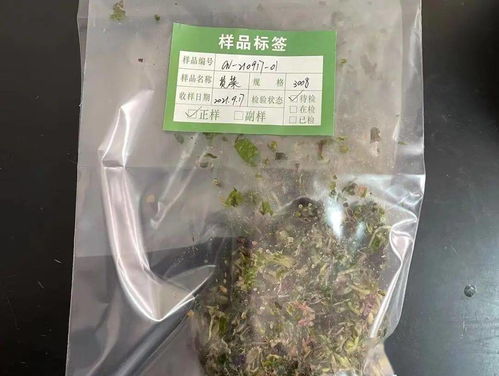 探秘實驗室開放日 農產品質量檢測與食用農產品初加工
